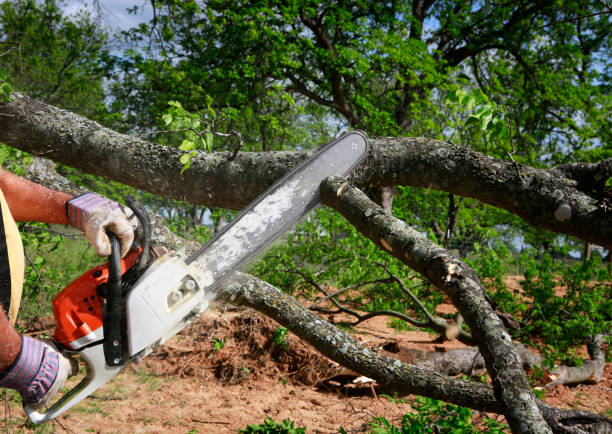 Lawn Irrigation Installation and Maintenance in Seguin, TX